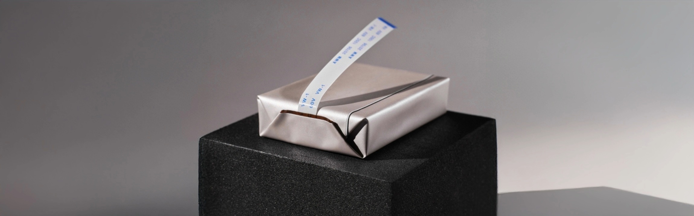 Manipulationsschutz Elektronik