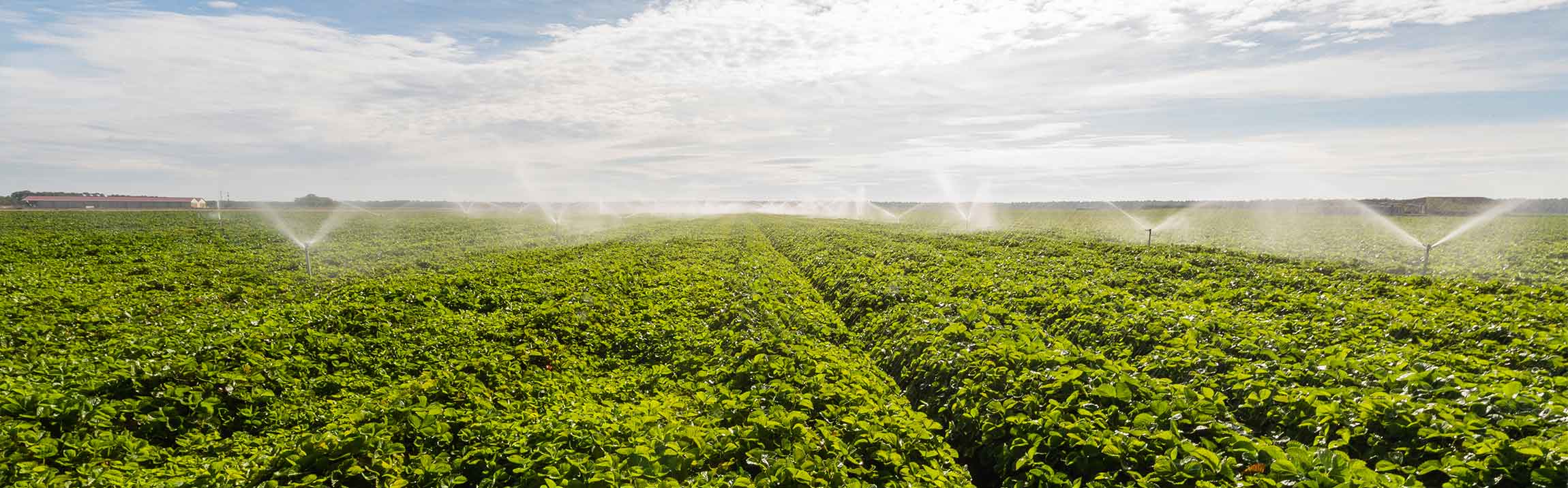 Smart Farming für mehr Produktivität und Umweltschutz in der Landwirtschaft