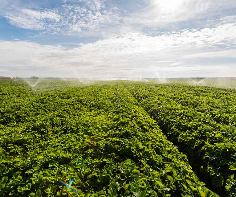 Presseinformation Projekt Agrarsense High-Tech für nachhaltige Landwirtschaft