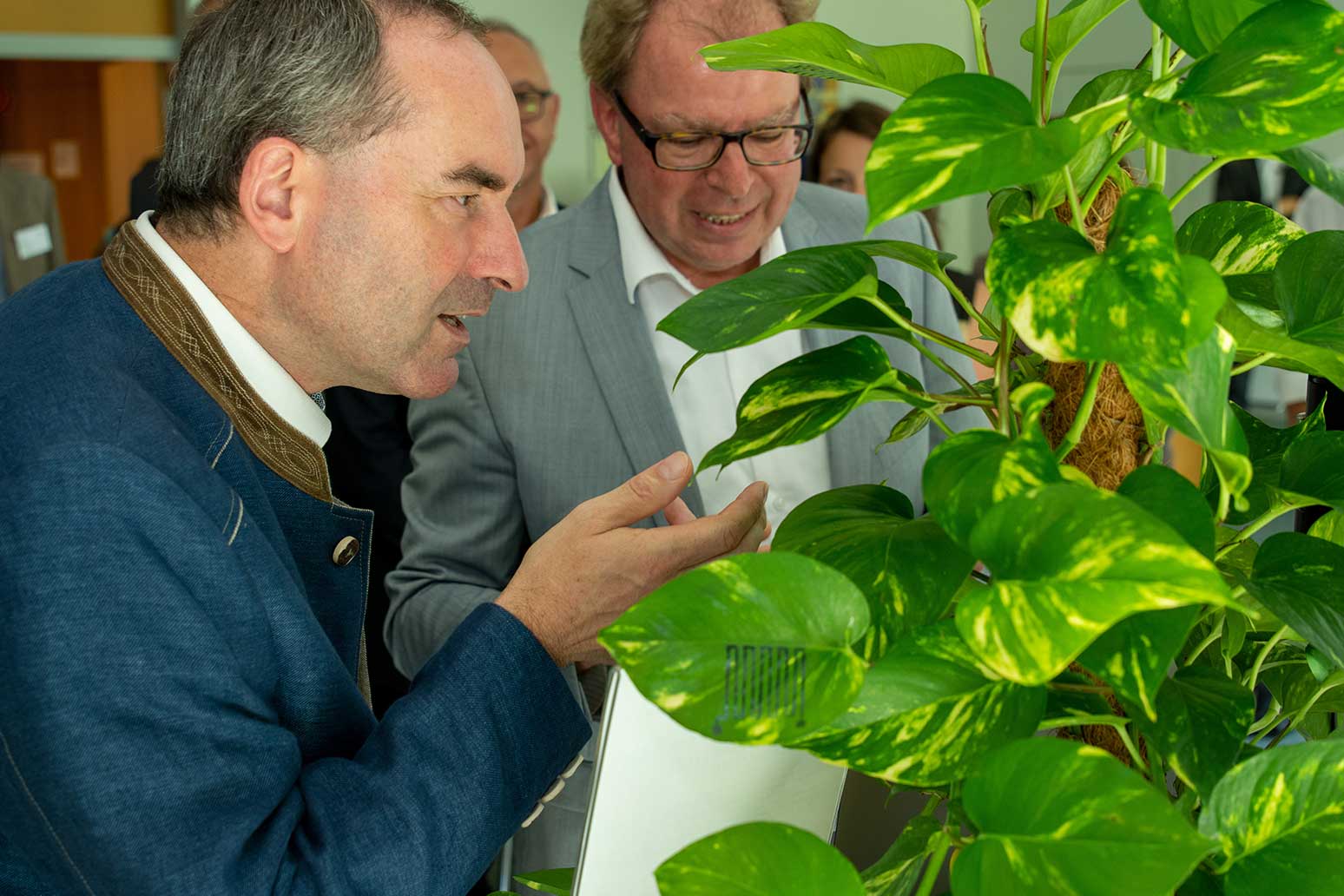Bayerns Wirtschaftsminister Hubert Aiwanger und Dr. Frank Ansorge von Fraunhofer EMFT begutachten die auf Pflanzenblätter gedruckten Sensoren.