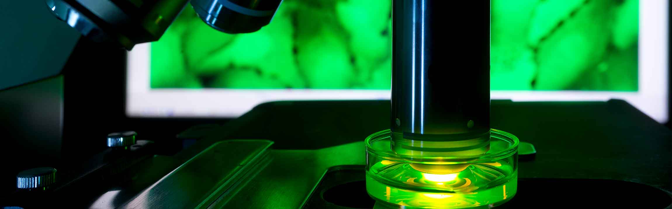 Fluoreszenzmikroskopische Analyse von Zell- und Gewebeproben