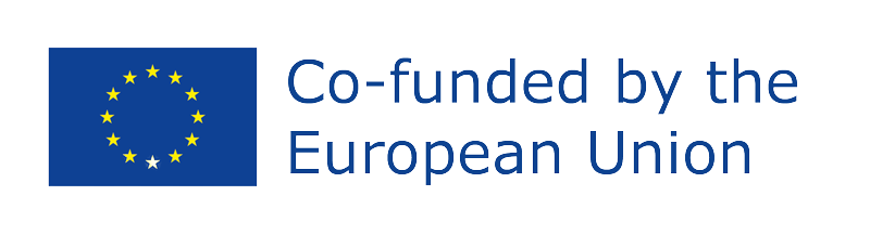 Co-funded by the European Union Logo