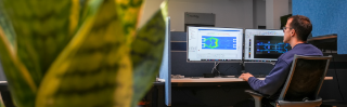 Dr. Lauritano is working on electromagnetic simulations for the Move2Thz project