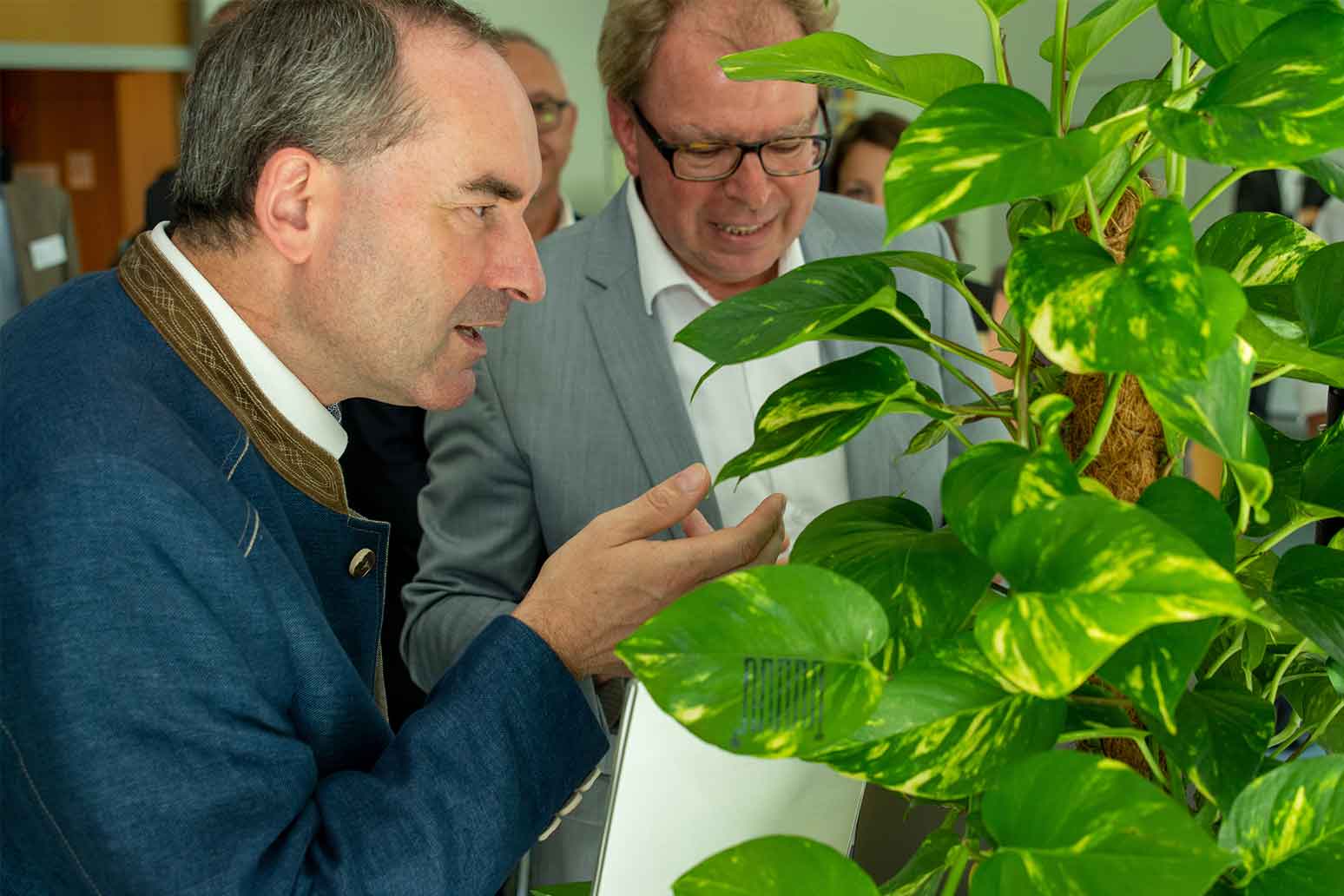Minister Hubert Aiwanger observing sensors on a plant in the kickoff event of Fraunhofer Center for Biogenic Value Creation and  Smart Farming.