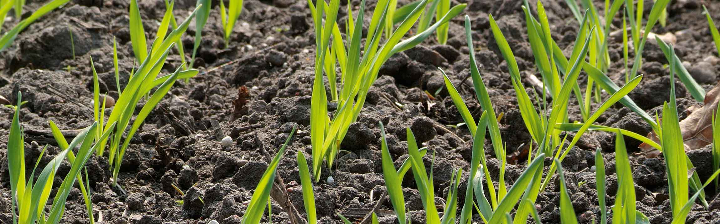 The system enables in-situ soil analyses without time-consuming preparation and waiting times.