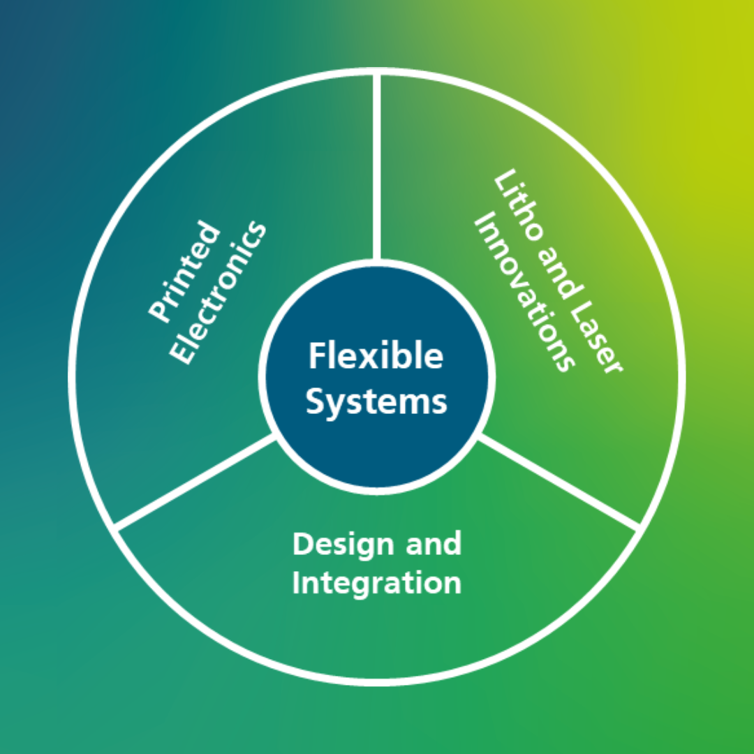 Flexible Systems Expertise