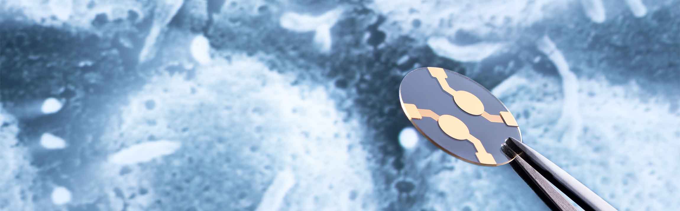 Cell analysis: Swing quartz for examining cell mechanics 
